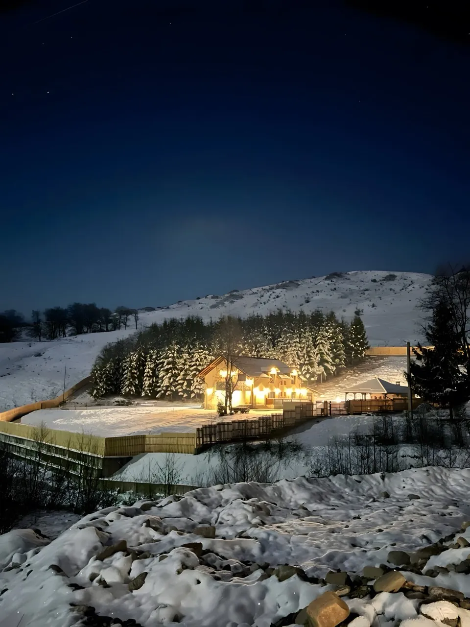 Vila iarna, cu zăpadă și brazi