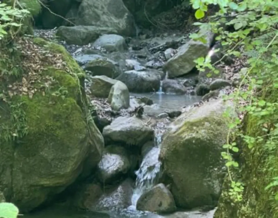 Râu de munte cu bolovani, lângă proprietate