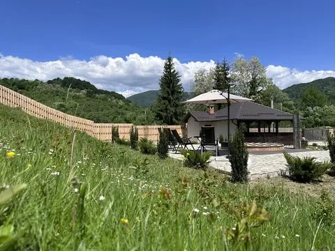 Pajiștea și vegetația proprietății vara