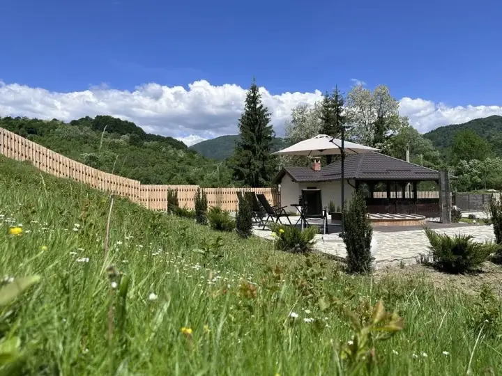 Pajiștea și pădurea din jurul vilei